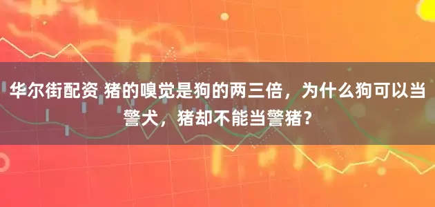 华尔街配资 猪的嗅觉是狗的两三倍，为什么狗可以当警犬，猪却不能当警猪？