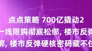 点点策略 700亿撬动280万亿? 一线限购彻底松绑, 楼市反弹硬核密码藏不住了